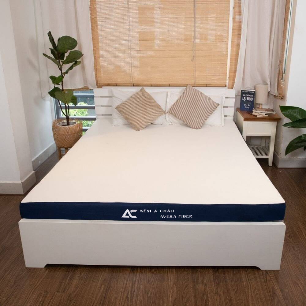 Khách hàng của Nệm Á Châu 10