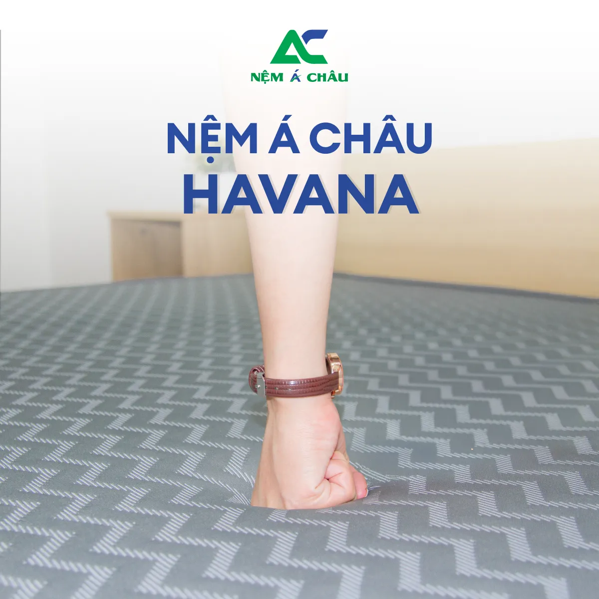 Chi tiết sản phẩm - Nệm Foam Á Châu Havana 8